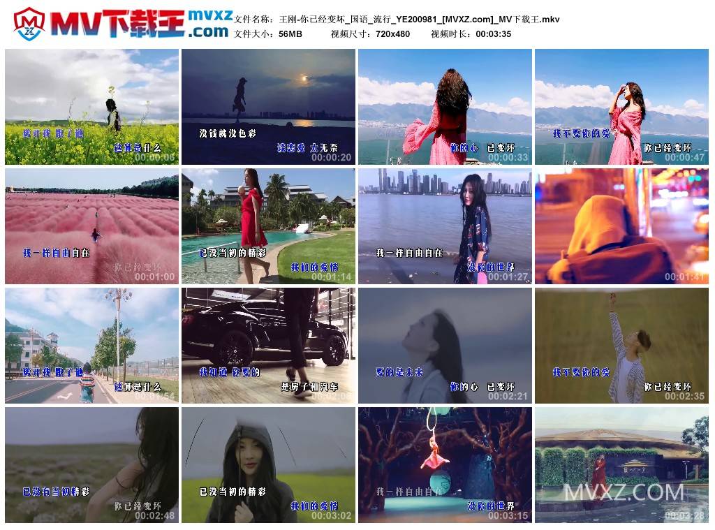 王刚-你已经变坏_国语_流行_YE200981